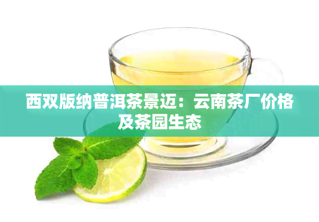 西双版纳普洱茶景迈：云南茶厂价格及茶园生态