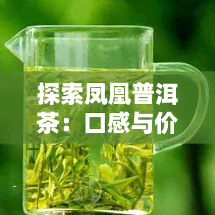 探索凤凰普洱茶：口感与价格的综合考量，哪款才是你的首选？