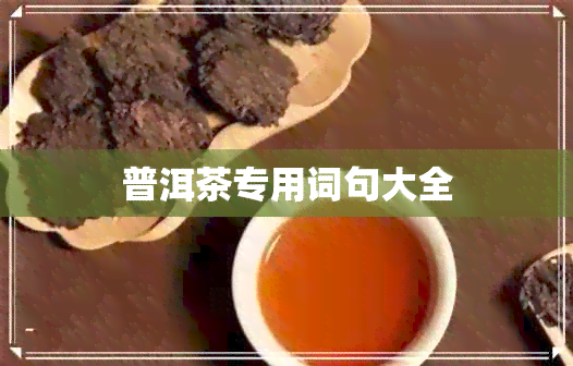 普洱茶专用词句大全