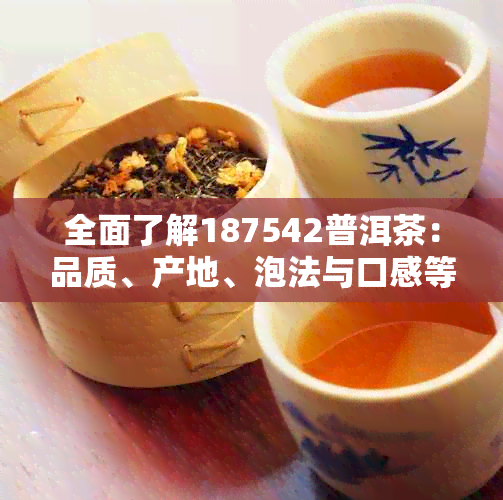 全面了解187542普洱茶：品质、产地、泡法与口感等全方位解析，解答您的疑问