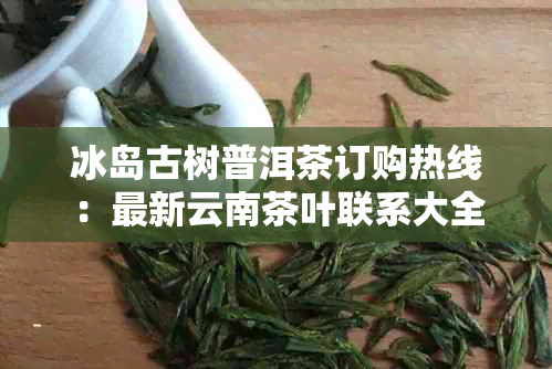 冰岛古树普洱茶订购热线：最新云南茶叶联系大全