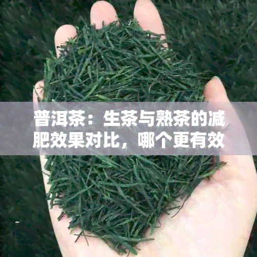 普洱茶：生茶与熟茶的减肥效果对比，哪个更有效？