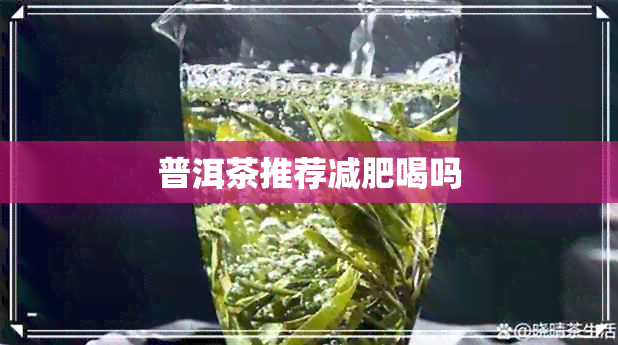 普洱茶推荐减肥喝吗