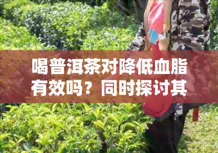 喝普洱茶对降低血脂有效吗？同时探讨其他潜在好处和注意事项