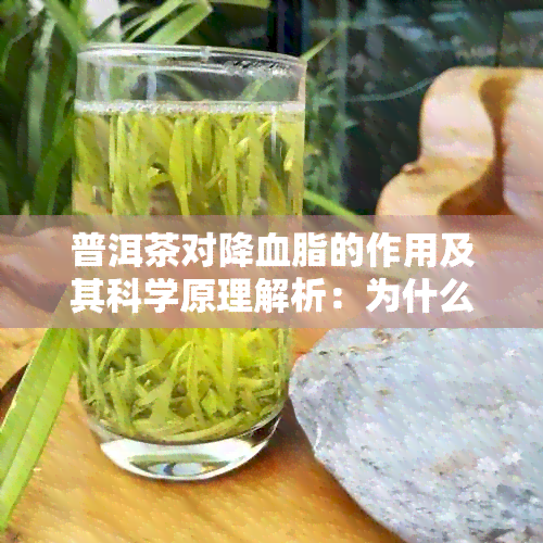 普洱茶对降血脂的作用及其科学原理解析：为什么喝普洱茶能有效降低血脂？