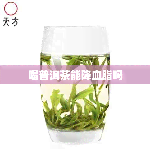 喝普洱茶能降血脂吗