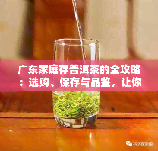 广东家庭存普洱茶的全攻略：选购、保存与品鉴，让你的普洱茶更加美味