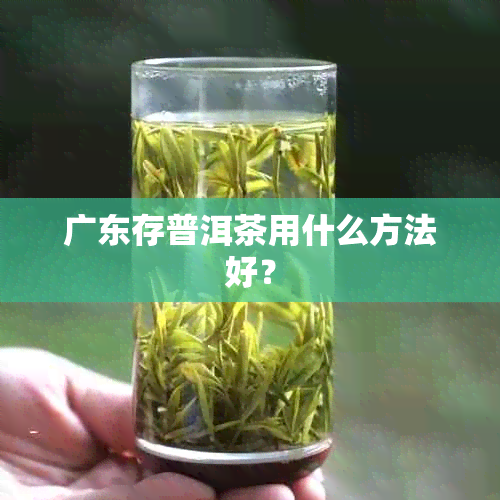 广东存普洱茶用什么方法好？