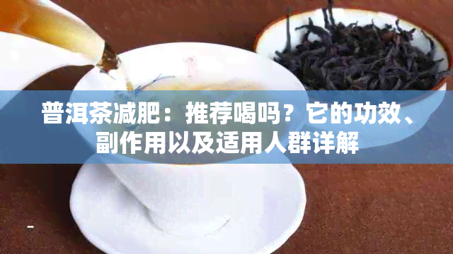 普洱茶减肥：推荐喝吗？它的功效、副作用以及适用人群详解