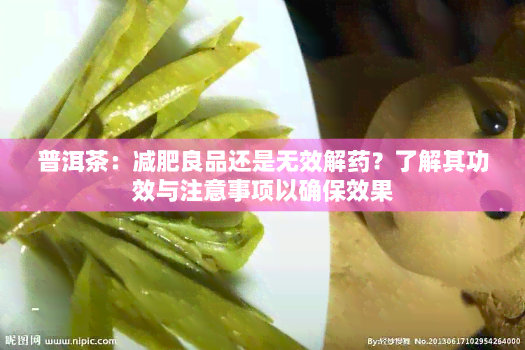 普洱茶：减肥良品还是无效解？了解其功效与注意事项以确保效果