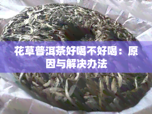 花草普洱茶好喝不好喝：原因与解决办法