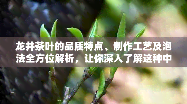 龙井茶叶的品质特点、制作工艺及泡法全方位解析，让你深入了解这种中国名茶