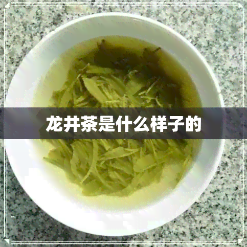 龙井茶是什么样子的