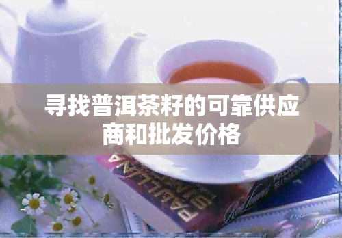 寻找普洱茶籽的可靠供应商和批发价格