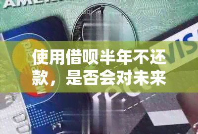 使用借呗半年不还款，是否会对未来的贷款申请产生影响？