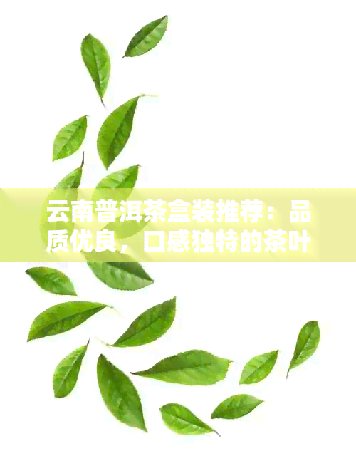 云南普洱茶盒装推荐：品质优良，口感独特的茶叶品种