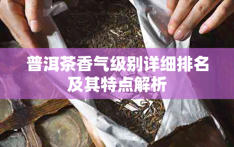 普洱茶香气级别详细排名及其特点解析