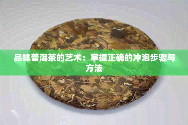 品味普洱茶的艺术：掌握正确的冲泡步骤与方法