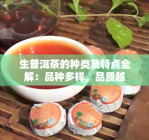 生普洱茶的种类及特点全解：品种多样，品质越