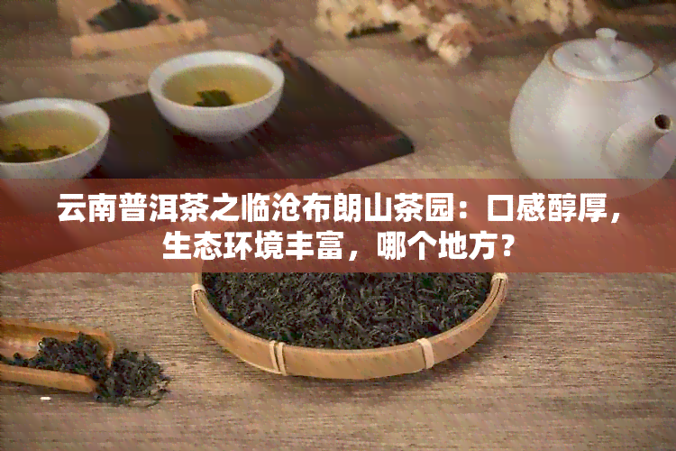 云南普洱茶之临沧布朗山茶园：口感醇厚，生态环境丰富，哪个地方？