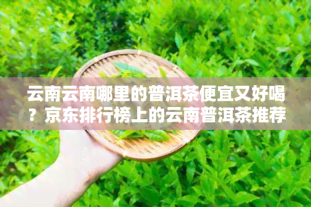 云南云南哪里的普洱茶便宜又好喝？京东排行榜上的云南普洱茶推荐