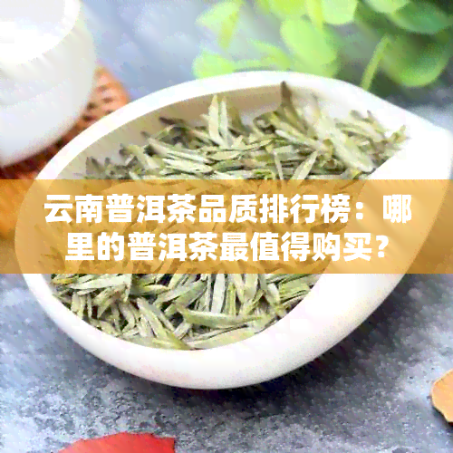 云南普洱茶品质排行榜：哪里的普洱茶最值得购买？