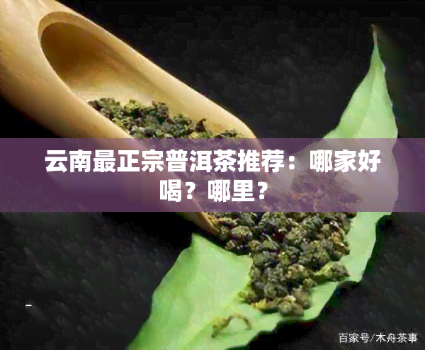 云南最正宗普洱茶推荐：哪家好喝？哪里？