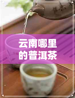 云南哪里的普洱茶好