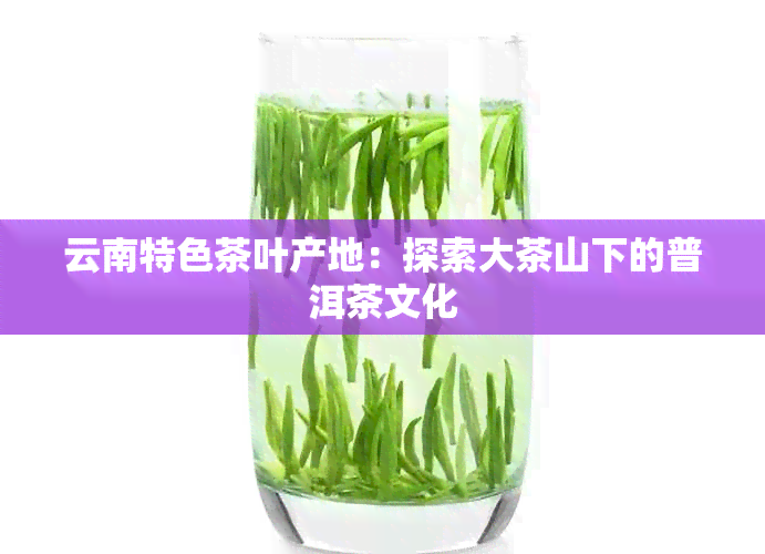 云南特色茶叶产地：探索大茶山下的普洱茶文化