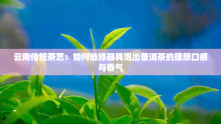 云南传统茶艺：如何选择器具泡出普洱茶的理想口感与香气