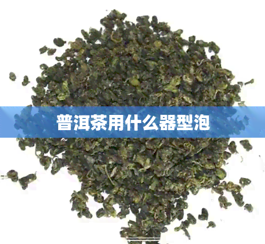 普洱茶用什么器型泡