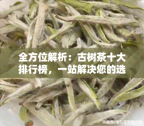 全方位解析：古树茶十大排行榜，一站解决您的选购难题！