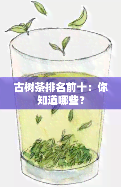 古树茶排名前十：你知道哪些？