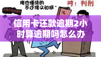 信用卡还款逾期2小时算逾期吗怎么办：如何处理信用卡还款逾期2小时的问题？