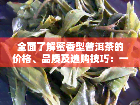 全面了解蜜香型普洱茶的价格、品质及选购技巧：一篇解答您所有疑问的文章