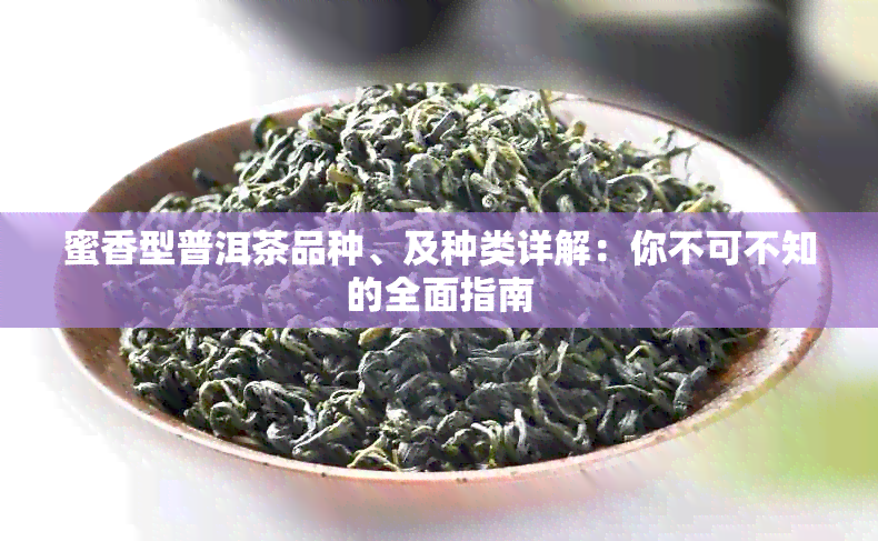 蜜香型普洱茶品种、及种类详解：你不可不知的全面指南