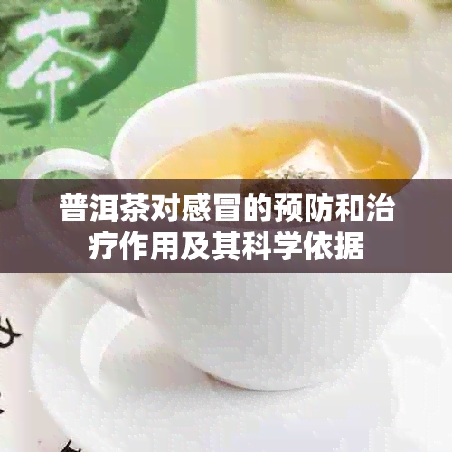 普洱茶对感冒的预防和治疗作用及其科学依据