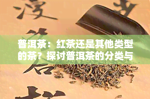 普洱茶：红茶还是其他类型的茶？探讨普洱茶的分类与特点