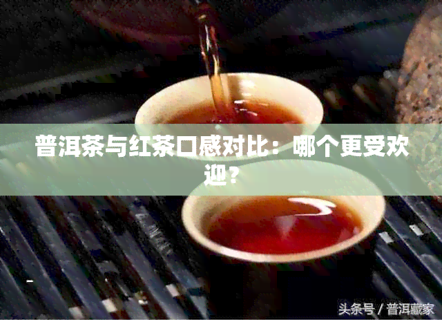 普洱茶与红茶口感对比：哪个更受欢迎？