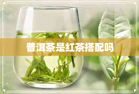 普洱茶是红茶搭配吗