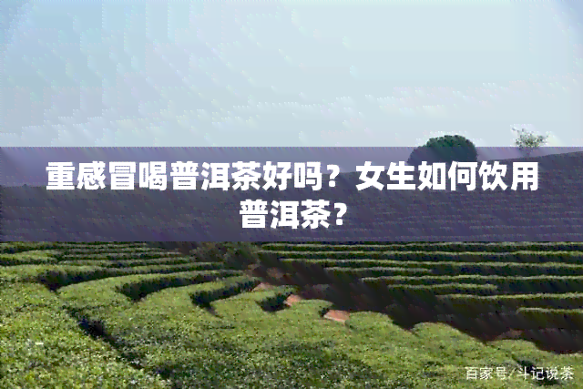 重感冒喝普洱茶好吗？女生如何饮用普洱茶？