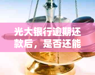 光大银行逾期还款后，是否还能只还更低还款额？如何解决？