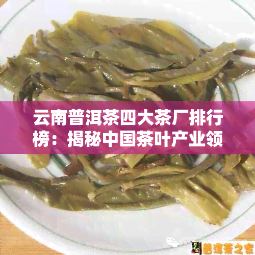 云南普洱茶四大茶厂排行榜：揭秘中国茶叶产业领军者