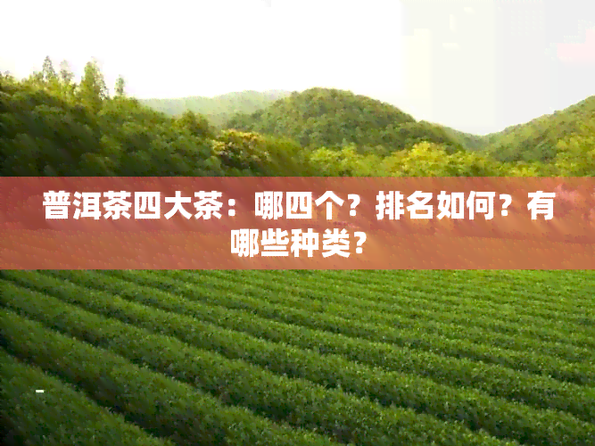 普洱茶四大茶：哪四个？排名如何？有哪些种类？