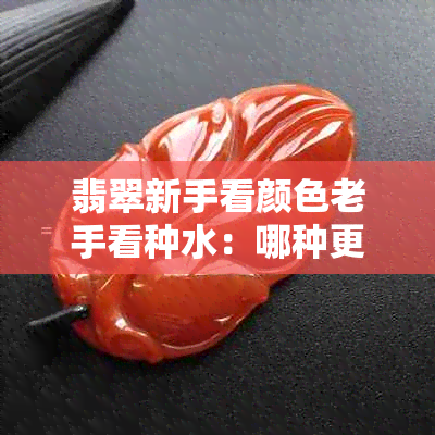 翡翠新手看颜色老手看种水：哪种更重要？