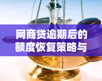 网商贷逾期后的额度恢复策略与还款解决方法探讨