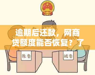 逾期后还款，网商贷额度能否恢复？了解这一系列关键步骤！