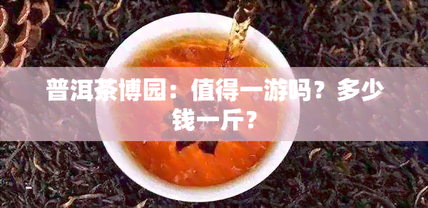 普洱茶博园：值得一游吗？多少钱一斤？