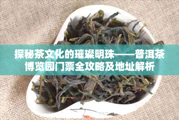 探秘茶文化的璀璨明珠——普洱茶博览园门票全攻略及地址解析