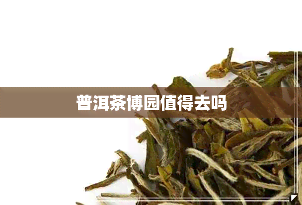 普洱茶博园值得去吗